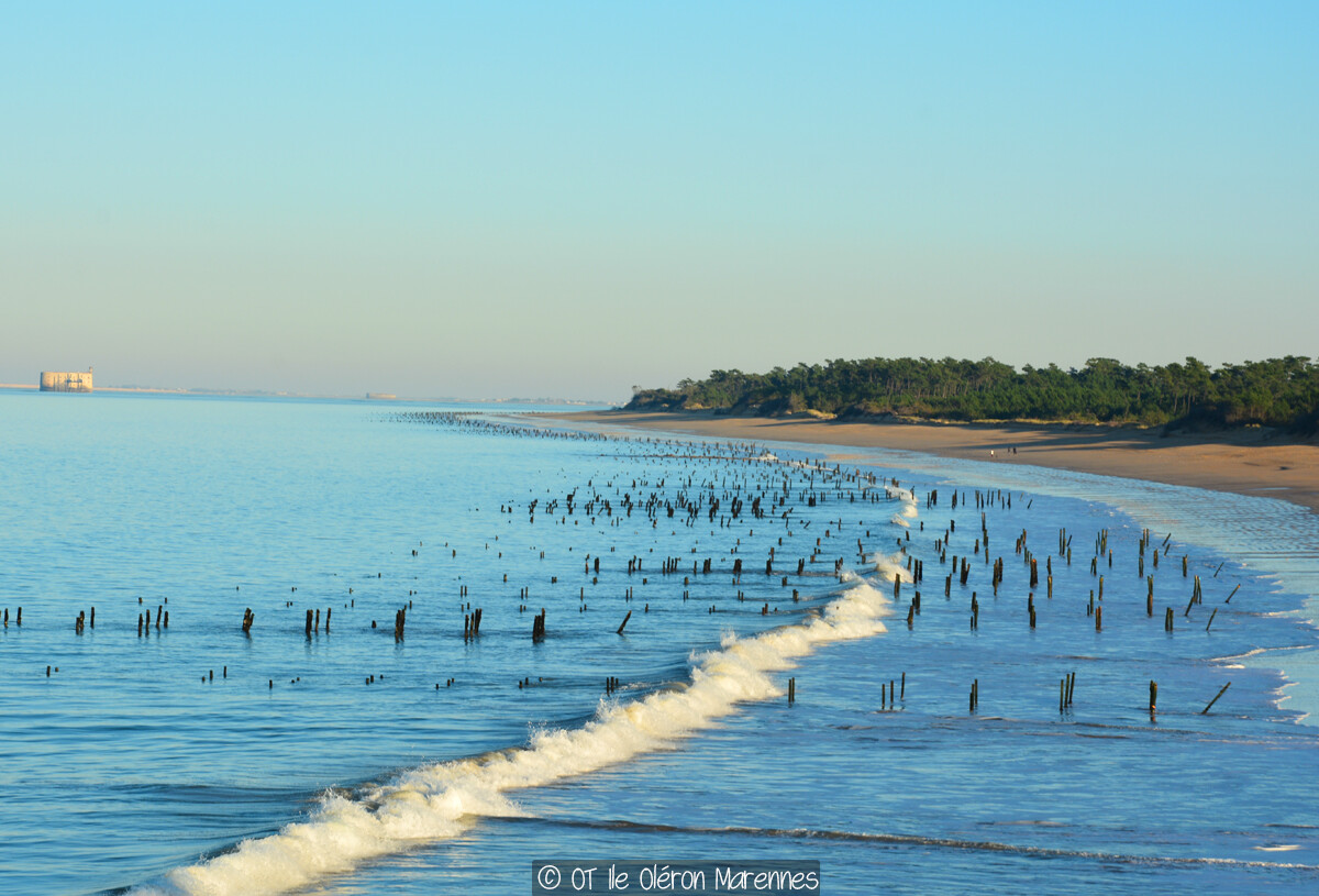 slider-21_cdo-oleron-8817227_0.jpg