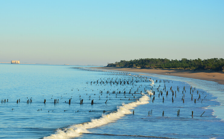 slider-21_cdo-oleron-8817227_0.jpg